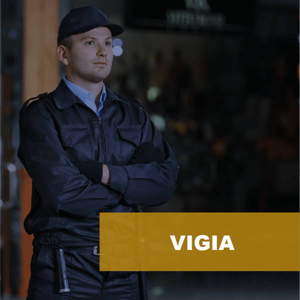 Vigia